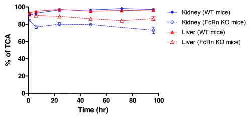 Figure 4. Percentage of post-TCA precipitation of the kidney and liver samples in C57BL/6 wild-type (WT) and FcRn knockout (KO) mice. Each time point is a terminal collection of 3 animals from each strain. Each time point is presented as the mean ± SD.