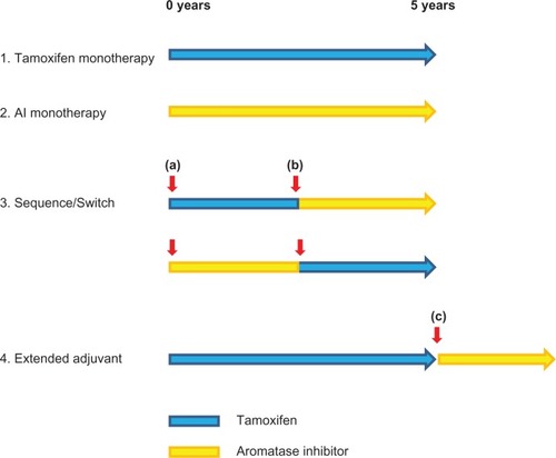 Figure 1 Adjuvant AI clinical trial designs. Various strategies by which AIs may be incorporated into adjuvant therapy have been investigated. Trials of AI monotherapy have typically randomized patients before commencing adjuvant therapy to either 5 years of AI or tamoxifen. The switching strategy entails a randomization to either tamoxifen or AI after 2.5–3 years of tamoxifen. Crucially, randomization at this time point (b) provides no information on events occurring before the switch. This differs from the sequencing trials in which randomization occurs at the initiation of adjuvant therapy (a). Extended adjuvant trials have randomized patients who have completed 5 years of adjuvant tamoxifen to an AI or not (c). As with the switch strategy, events occurring before randomization are not addressed.