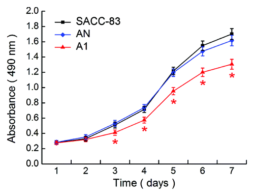 Figure 2. EMMPRIN silencing inhibits the proliferation potential of SACC-83 cells in vitro MTT assay. Significant changes in the proliferation curves were observed in A1 cells compared with the SACC-83 or AN cells. *p < 0.01.