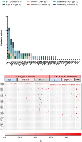 Figure 2. Mutation patterns. (a) Numbers of nondriver mutations in the respective genes are shown. Colour code represents myeloproliferative neoplasm (MPN) subgroups as indicated. (b) Distribution of mutated genes is shown on a single sample level. Each column represents one patient sample. Patients are divided into subgroups of MPN with CALR type I/type II mutation. The shades of red represent the mutant load of the gene as indicated.