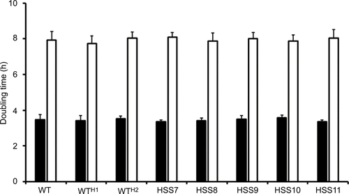 Figure S3 Doubling time of OCH1-silenced and control strains.Notes: Growth curves of mycelia in YPD, pH 4.5, were generated by determining the culture dry weight every 120 minutes, and from this, the doubling time was calculated (closed bars). Yeast-like cells were propagated in YPD, pH 7.8, and cell density was estimated by counting in a Neubauer hemocytometer. From the generated growth curve, the doubling time was estimated (open bars). The strains used are 1099-18 ATCC MYA 4821 (WT), HSS12 (WTH1), and HSS13 (WTH2).Abbreviations: h, hours; WT, wild type.