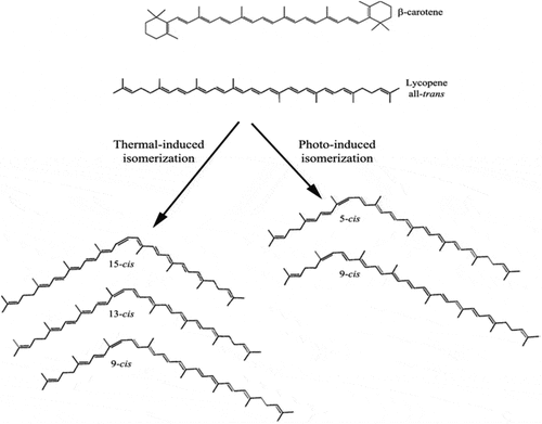 Figure 3. Chemical structure of β-carotene, lycopene, and its isomers obtained by thermal processing.[Citation38]