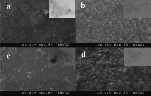 Figure 3. The FE-SEM patterns of bio-synthesized Ag NPs at different values of L. draba root extract: (a) 2.0 mL, (b) 2.5 mL, (c) 3.0 mL and (d) 4.0 mL. The inserted figures are related to TEM images.