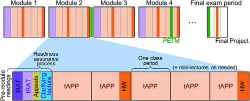 Fig. 1 TBL timeline for a 15-week semester course meeting three times per week. Weekly team lab homework assignments (HW) and three peer evaluation and team maintenance surveys (PETM) are indicated by their due date. Note that for all but the first class period of each module, in-class time is comprised solely of tAPPs and occasional mini-lectures. Students typically do the pre-module readings the week or weekend before the start of each module.