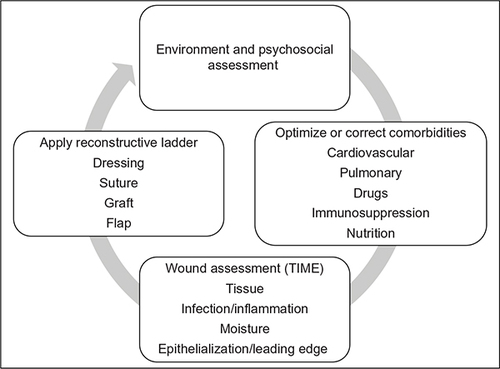 Figure 7 Outline of structured approach to wound assessment and management.