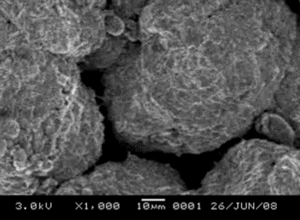 FIG. 3 SEM image of carbon nanotubes were uniformly dispersed and implanted within HDPE powder.