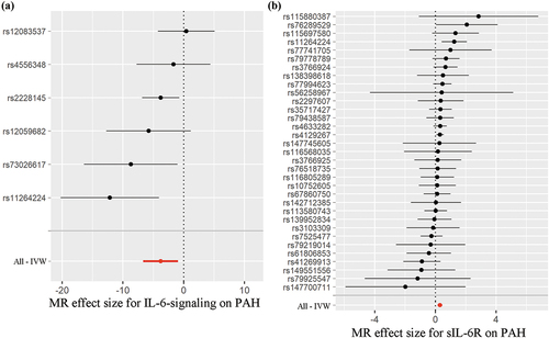 Figure 2. Forest plot of IL-6 signaling and its negative regulator sIL-6 R-associated SNPs with the risk of pulmonary arterial hypertension (PAH). The x-axis shows the MR effect size for six IL-6 signaling (A) or 33 sIL-6 R (B) associated SNPs on PAH. The y-axis shows the analysis for each and the total of six IL-6 signaling (A) or 33 sIL-6 R (B) associated SNPs using IVW methods. Dark dots: the single SNP effect (beta value). Red dot: the total SNP effect (beta value). Horizontal cross lines: standard error (SE). Vertical dotted line denotes the beta of 0.
