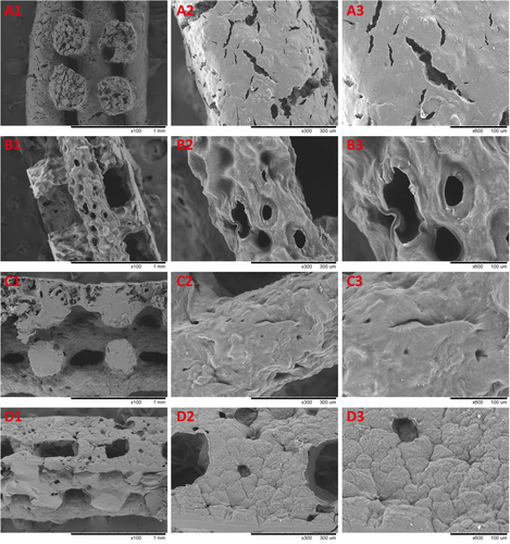 Figure 5. SEM images of 3D printed nanocomposite scaffolds. (a) NP/SF, (b) NP/SF–Gel, (c) NP/Gel-1, (d) NP/Gel-2.