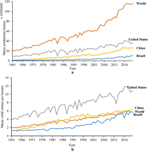 Figure 1. Maize production a) and yields b) of the world, U.S., China and Brazil from 1961 to 2020 (FAOSTAT Citation2021).