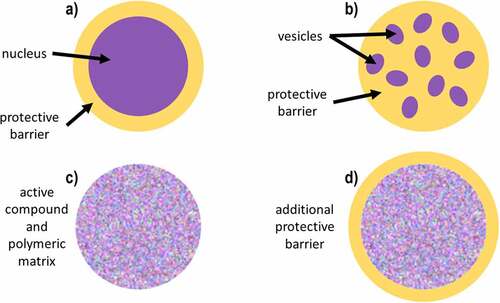 Figure 1. Different types of microcapsules: a] reservoir, a.1) vesicles reservoir, b) inclusive matrix, c) mixed and d) agglomerates.