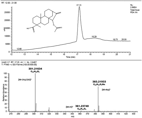 Figure 1. LC-MS profile and chemical structure of 15 β-acetoxy-(-)-kaur-16-en-19-oic acid (xylopic acid).