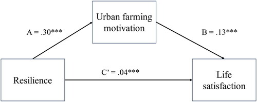Figure 3. The regression coefficients for path (A,B) were significant, representing effects of resilience on urban farming motivation, and effect of urban farming motivation on life satisfaction. The regression coefficient for path C′ was also significant. *meaning significance level as follow: ***p < 0.001 (2-tailed).