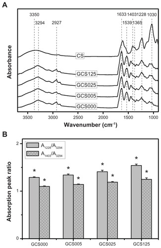 Figure 2 (A) Fourier transform infrared spectroscopy spectra of chondroitin-4-sulfate (CS) and the gelatin samples modified with varying concentrations of CS (0%–1.25% (w/v)); (B) the absorption peak ratios of the S=O stretching to N–H stretching bands (A1228/A3294) and C–O stretching to N–H stretching bands (A1403/A3294) for the gelatin samples modified with varying concentrations of CS (GCS000, GCS005, GCS025, and GCS125).Notes: Values are mean plus or minus standard deviation (n = 3); *P < 0.05 versus all groups (compared only within A1228/A3294 or A1403/A3294 groups); scaffold groups labeled according to CS concentration used (0%, 0.05%, 0.25%, or 1.25% (w/v)): GCS000, GCS005, GCS025, and GCS125.Abbreviation: A/A, absorbance/absorbance.