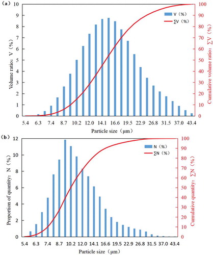 Figure 5. Particle size distribution of paint spray under 0.4 MPa pressure: (a) volume distribution, and (b) quantity distribution