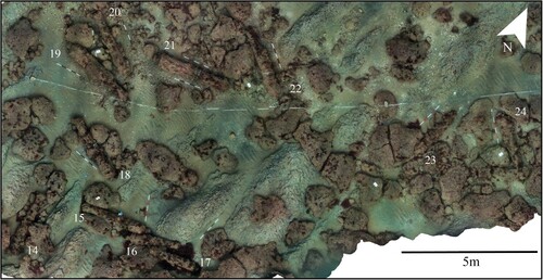Figure 29. Orthophoto mosaic of the 2014 gun site. Guns numbered 14–24. Scales are 1 m with 20 cm increments (survey and mosaic produced by Daniel Pascoe).