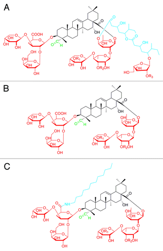 Figure 7. Chemical structure of (A) quillaja saponin, (B) deacylated saponins, and (C) GPI-0100. The lipophilic chain (blue) was mainly responsible for the delivery of antigen, the carbohydrate residues (red) enhanced targeting to the immune cells and the aldehyde group (green) was important for co-stimulation activity.