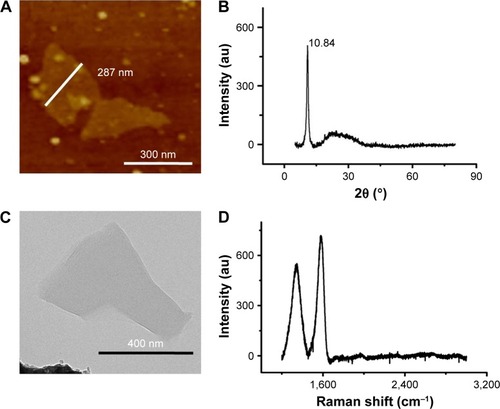 Figure 1 (A) Representative two-dimensional AFM image of GO; (B) XRD pattern of GO; (C) TEM image of GO; and (D) Raman spectra of GO.Abbreviations: GO, graphene oxide; AFM, atomic force microscopy; XRD, X-ray diffraction; TEM, transmission electron microscopy.