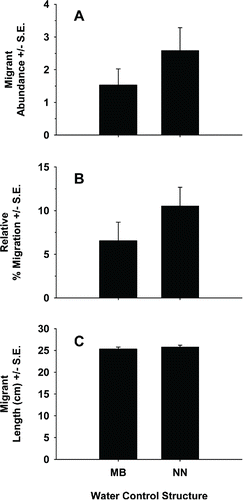 FIGURE 5. Mean (+SE) (A) migrant abundance (per 5-min segment), (B) relative percentage of migrants (i.e., [number of migrating individuals per 5-min segment]/[number of congregating individuals per frame]), and (C) migrant length (cm TL; per 5-min segment), as observed with dual-frequency identification sonar at the Mangrove Bayou (MB) and No-Name Bayou (NN) water control structures (n = 296 migrants total).