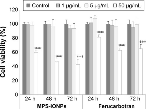 Figure 5 Effect of MPS-IONPs and Resovist (ferucarbotran) on the viability of human aortic endothelial cells.Notes: ***P<0.001. MPS-IONPs and ferucarbotran caused a significant cytotoxic effect compared to the control at a concentration of 50 μg Fe/mL.Abbreviations: MPS, 3-methacryloxypropyltrimethoxysilane; IONPs, iron oxide nanoparticles.