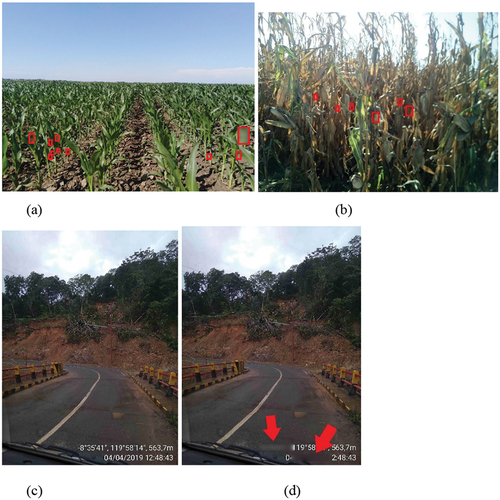 Figure 6. Examples of commission errors. (a) and (b) show commission errors for faces detected in crops, with red boxed areas supposedly containing a face, and (c) and (d) show a photograph before and after application of the licence plate detection software; note the metadata text in the bottom right of (c) is incorrectly masked out in (d).