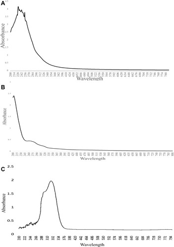 Figure 3 UV-Vis spectroscopy analysis. (A) Crude of P. chilensis, (B) Purified P. chilensis, and (C) Phenol sulphuric acid assay of P. chilensis.