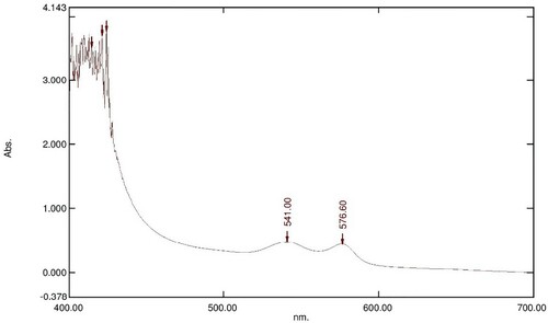 Figure 7. Absorption spectrum of 800 µl of 16 mM OxyHb in 10 Mm phosphate buffer at pH 7.6 with 100 µl of 80 mg/ml LAFRF for 3 h at 25°C.