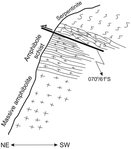 Figure 5. Tectonic relation between the sheared serpentinite and metamorphic sole rocks in Karadiğin village.