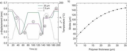 Figure 8. (a) Demonstration of bistable actuation of PMMA/TiNiHf/Si through simulation assuming a Tg of 105°C. (b) FEM simulation of maximum bistable stroke versus polymer thickness for a cantilever consisting of a PMMA/TiNiHf/Si trimorph composite with TiNiHf and Si layer thicknesses of 1 µm and 2 µm, respectively. The cantilever length L and width w are 1 mm and 100 µm, respectively.