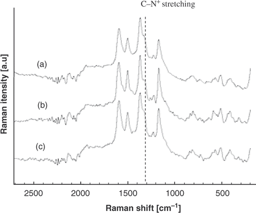 Figure 4. Raman spectrum of PANi thin film growth on glass. (a) 15 min (mechanical agitation) (b) 15 min (no agitation), (c) 30 min (no agitation).