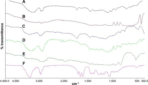 Figure 4 FTIR spectrum of mannitol (A), Eudragit RS100 (B), Poloxamer 188 (C), TA (D), physical mixture (E), and TA-loaded NC (F).Abbreviations: FTIR, Fourier-transform infrared spectroscopy; NC, nanocapsule; TA, triamcinolone acetonide.