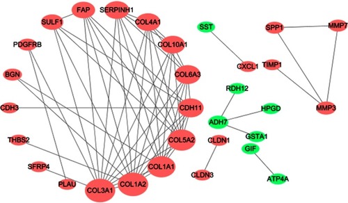Figure 3 Protein–protein interaction network for 76 differently expressed genes in gastric cancer tissues. Nodes that have zero degrees value were excluded.