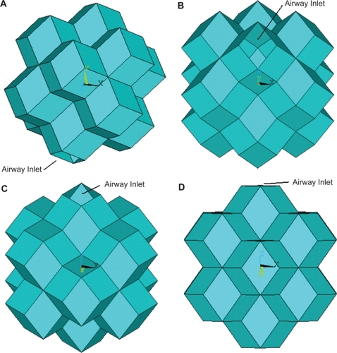 Figure 1 The stacked rhombic dodecahedron alveolar sac model displayed from four different angles: an oblique view (A), a base view with a −15 degree x-axis rotation (B), a base view with a 15 degree x-axis rotation (C), and a base view with a 45 degree x-axis rotation (D).