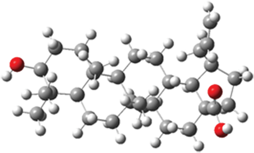 Figure 4. Optimized structure of betulinic acid.