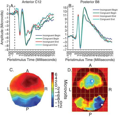 Figure 4. Viewing trials. Top panels illustrate time courses of activity, showing the effect of time at 250 ms on anterior cluster peak electrode C12 (A) and posterior peak electrode B8 (B). Bottom panels show the scalp distribution of activity for the effect of time at 250 ms (C), and the F-map of significant voxels (D), thresholded with a voxelwise height threshold of F = 15.79, p < .0001, uncorrected. Both clusters were clustersize significant at p < .0001 RFT FWEC. Colder colors indicate higher F-values. White spots denote peak locations.