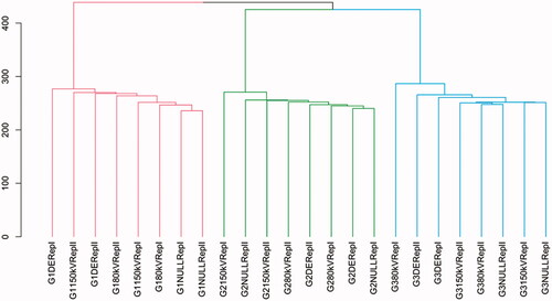 Figure 1. Unsupervised hierarchical clustering (Euclidean distance, Ward.D2 algorithm) using prefiltered DNA methylation estimates of all 24 Methyl-Seq experiments. Sample names include treatment (80 kV, 150 kV, DE and NULL) and healthy individuals (G1, G2 and G3). Healthy individuals are color coded in red (G1), green (G2) and blue (G3). The clustering analysis results in individual-specific clusters and a random distribution of the samples within each cluster without clearly distinguishable influence of the treatment.