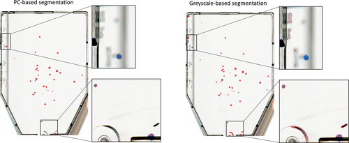 Figure 9. Demonstration of colony segmentation performance on an image from data set 1 when PCA (left) versus conventional greycale conversion (right) of the input image I is used in the pipeline. The segmentation suggested by the automated colony counting (ACC) algorithm is outlined in red.
