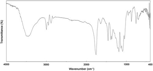 Figure 2. FTIR spectrum of PLLA-PEG copolymer.