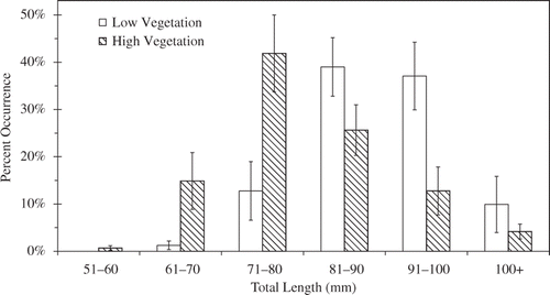 Figure 2. Bluegill length-frequency distribution at the end of a 3-month experiment conducted in eight 0.4-ha ponds. Ponds were either high (712 ± 54.3 g m−2; hatched bars) or low (109 ± 21.0 g m−2; open bars) vegetation biomass treatments. Bluegill were 30–50 mm in TL at the beginning of the experiment. Bars indicate 1 SE.