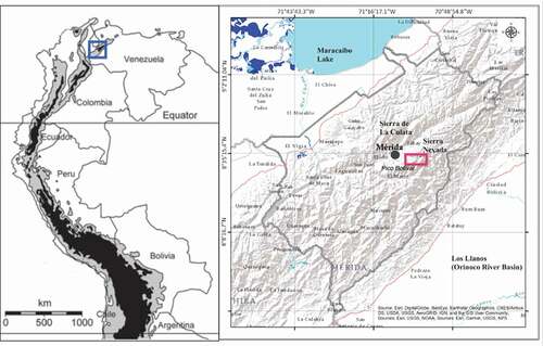 Figure 1. Study region map. Left: The Northern Andes of South America. Right: Detail of the area indicated by the blue square, Mérida State in the Venezuelan Andes. Shown are the city of Mérida and the location of the Sierra Nevada. The area of study is indicated by the red rectangle, corresponding to the region mapped in Figure 4. Adapted from Anthelme et al. (Citation2014)