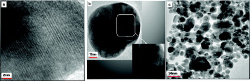 Figure 9. TEM image of the synthesised His–Ag NPs using US method at different magnifications.
