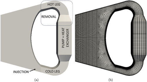 Fig. 4. (a) Geometry and (b) computational mesh employed for 3D simulations.