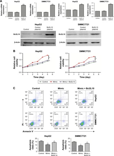 Figure 6 Overexpression of Bcl2L10 partially reversed the function of miR-18a on HCC cell proliferation in vitro.