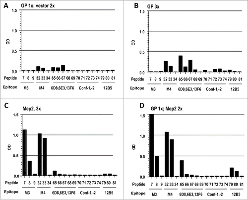 Figure 6. ELISA using linear peptides containing epitopes included in Mep2. Linear peptides are as defined in Table 1 and Table S1. The epitopes contained in part or in whole in each of the peptides are identified beneath the peptide numbers. (A) Samples from mice vaccinated once with the WT GP DNA vaccine followed by 2 vaccinations with an empty plasmid vector control; (B) samples from mice vaccinated 3 times with the WT GP DNA vaccine; (C) samples from mice vaccinated 3 times with the Mep2 DNA vaccine; and, (D) samples from mice vaccinated once with the WT GP DNA vaccine followed by 2 vaccinations with the Mep2 DNA vaccine.