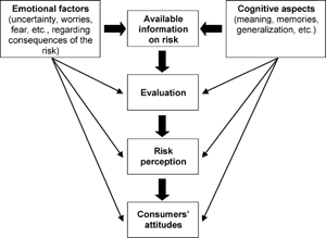 Figure 11. A simple and interpretative model for consumers' attitude toward food-associated risks. Redrawn with permission after CitationMorasso et al. (2000).