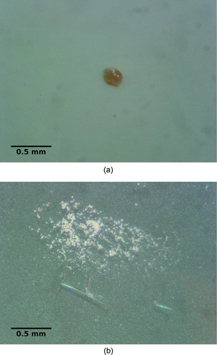 FIG. 6 Microscopic images of TNT before and after transfer. (a) Solid TNT nugget (5 μg) resulting from desiccation. (b) TNT particles after transfer. (Color figure available online.)