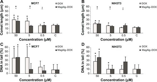 Figure 4 Comet length (A and B) and percentage DNA in tail (C and D) determined by comet assay in concentration of 50 μM, 5 μM, and 0.5 μM of DOX and MagAlg–DOX nanocarrier on MCF7 and NIH3T3 cell lines.Notes: Data represent mean and standard error from three independent measurements. Positive (*) and negative (•) significance were determined using Mann–Whitney U-test with Bonferroni correction for multiple comparisons significance and Kruskal–Wallis test.Abbreviation: DOX, doxorubicin.