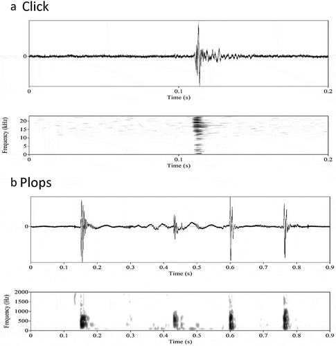 Figure 4. Single pulse sounds produced by the corkwing wrasse. Wave form (top) and corresponding spectrogram (below). (a) Click produced by a territorial male corkwing wrasse. (b) A group of four plops produced by a territorial male corkwing wrasse. Spectrogram settings: 50 dB dynamic range, Hamming window (raised sine-squared), 0.008 s window length