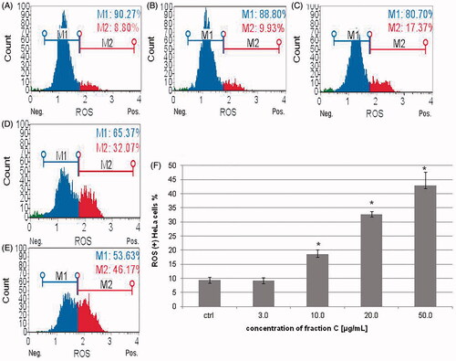 Figure 7. The changes observed in ROS production in HeLa cells incubated with fraction C for 24 h. The cells were treated with methanol (1% v/v) as control (ctrl, A) and fraction C at the concentrations of 3 (B), 10 (C), 20 (D), and 50 µg/mL (E). The results are presented as mean values of three independent repeats (F). Error bars represent standard deviations. Significant differences relative to the control are marked with an asterisk ‘*’ (p < 0.05).