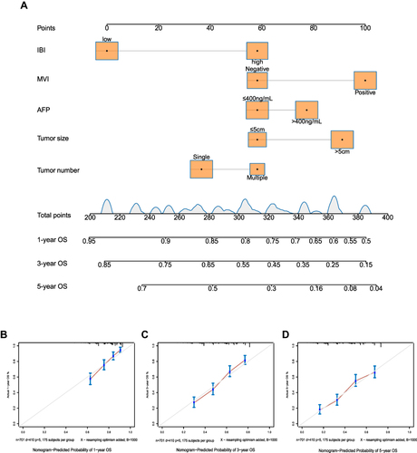 Figure 5 Model 2 for predicting OS of HCC patients after hepatectomy. (A) Nomogram of the model. (B–D) Calibration curves for OS at (B) 1 year, (C) 3 years and (D) 5 years.