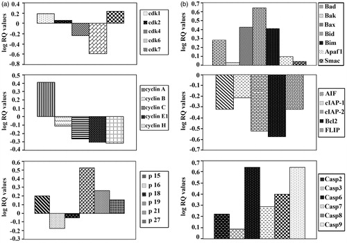 Figure 5. Assessment of the mRNA expression of the genes controlling cell cycle and apoptosis in cancer cells-treated with SA. (a) Assessment of the mRNA expression of cyclin-dependent kinase, cyclin and cyclin-dependent kinase inhibitors genes in cancer cell line SW1116 treated with SA. (b) Assessment of the mRNA expression of pro-apoptotic, anti-apoptotic and caspase genes in cancer cell line SW1116-treated with SA.